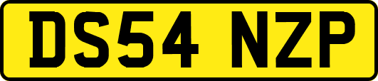 DS54NZP