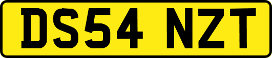 DS54NZT