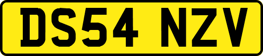 DS54NZV