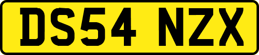 DS54NZX