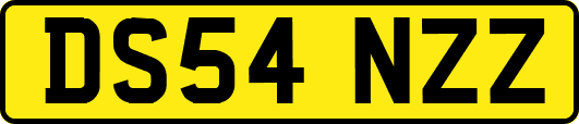 DS54NZZ
