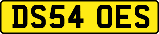 DS54OES