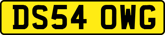 DS54OWG