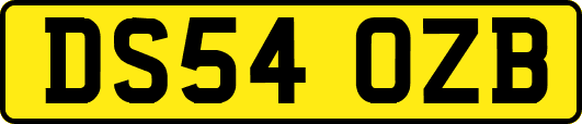 DS54OZB