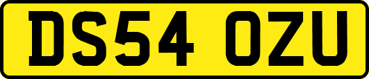 DS54OZU
