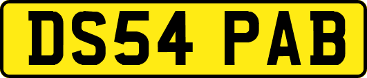 DS54PAB