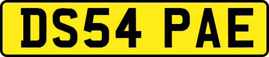 DS54PAE