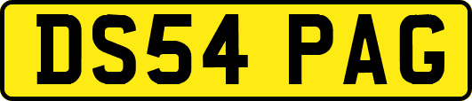 DS54PAG
