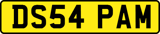 DS54PAM