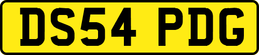 DS54PDG
