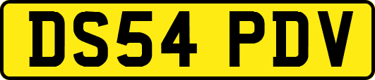 DS54PDV