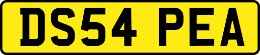 DS54PEA