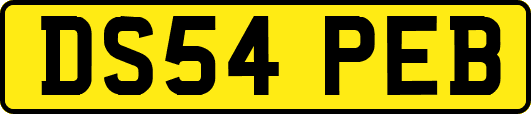 DS54PEB