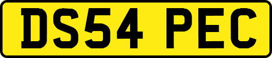 DS54PEC
