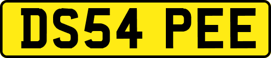 DS54PEE