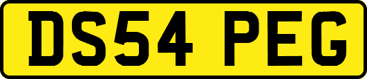 DS54PEG