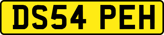 DS54PEH