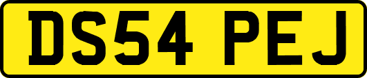 DS54PEJ