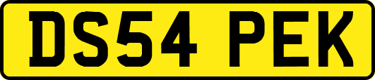 DS54PEK
