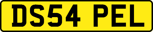 DS54PEL