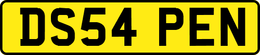 DS54PEN