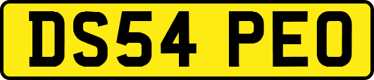 DS54PEO