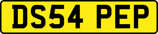 DS54PEP