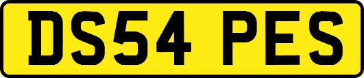 DS54PES