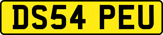 DS54PEU
