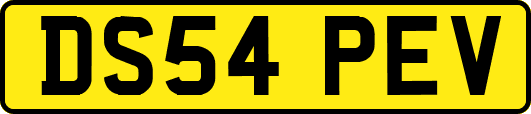 DS54PEV