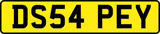DS54PEY