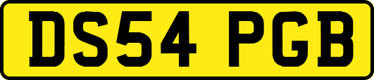 DS54PGB
