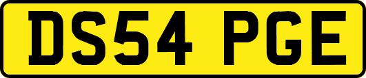 DS54PGE