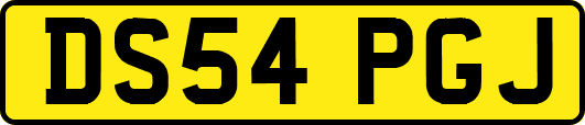 DS54PGJ