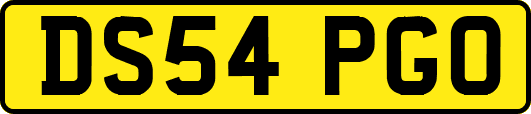 DS54PGO