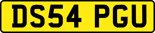 DS54PGU