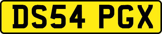 DS54PGX