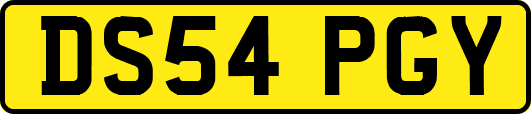 DS54PGY