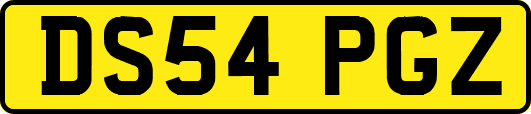 DS54PGZ