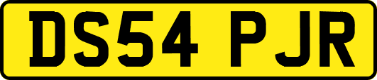 DS54PJR