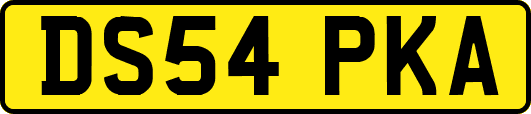 DS54PKA