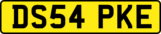 DS54PKE