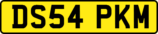 DS54PKM