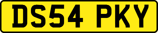 DS54PKY