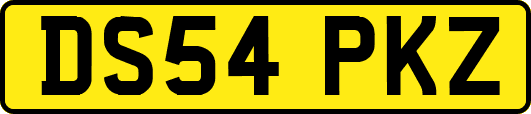 DS54PKZ
