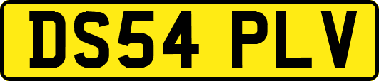 DS54PLV