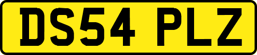 DS54PLZ