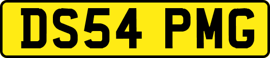 DS54PMG