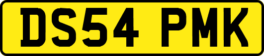 DS54PMK