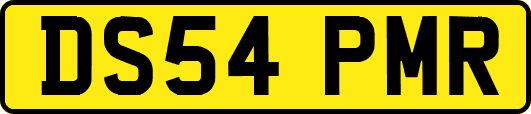 DS54PMR